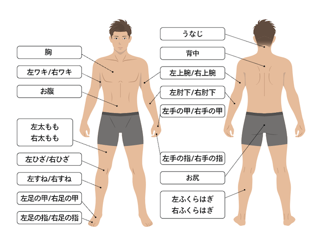 レジーナクリニックオムの全身脱毛照射範囲